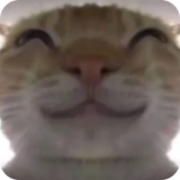 鼠鼠卡战备② Icon